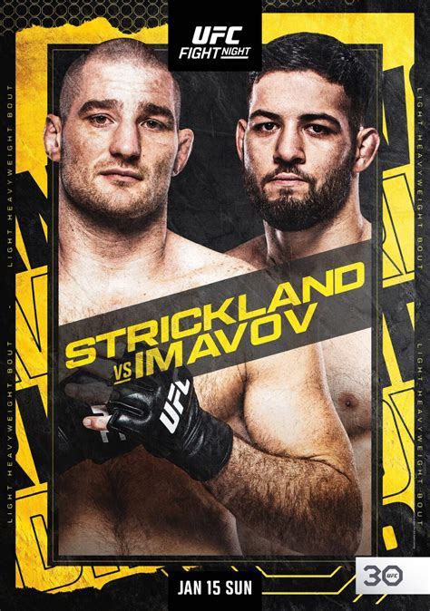 ufc 217 fight night.